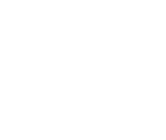 Customization Options